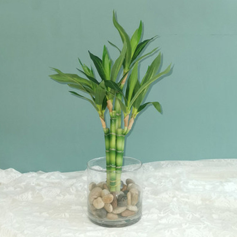 Desk Setup Plants - Nouvelle plante artificielle Bambou porte-bonheur de
