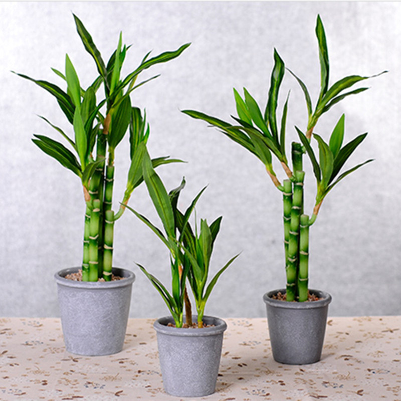 Nouvelle plante artificielle B - Desk Setup Plants avis et prix