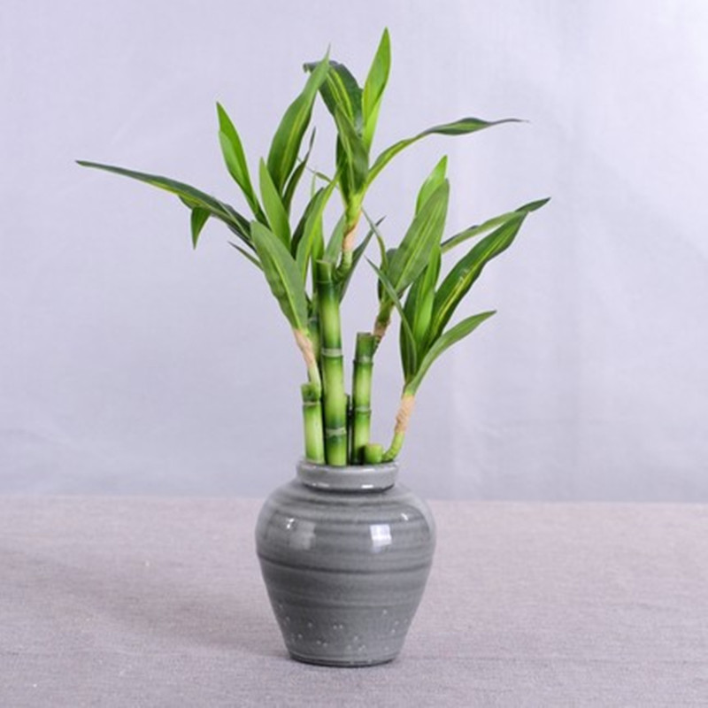 Nouvelle plante artificielle B - Desk Setup Plants avis et prix