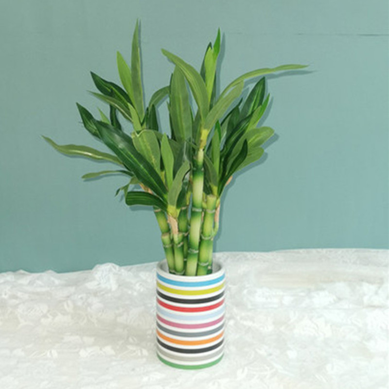 Nouvelle plante artificielle B - Desk Setup Plants avis et prix