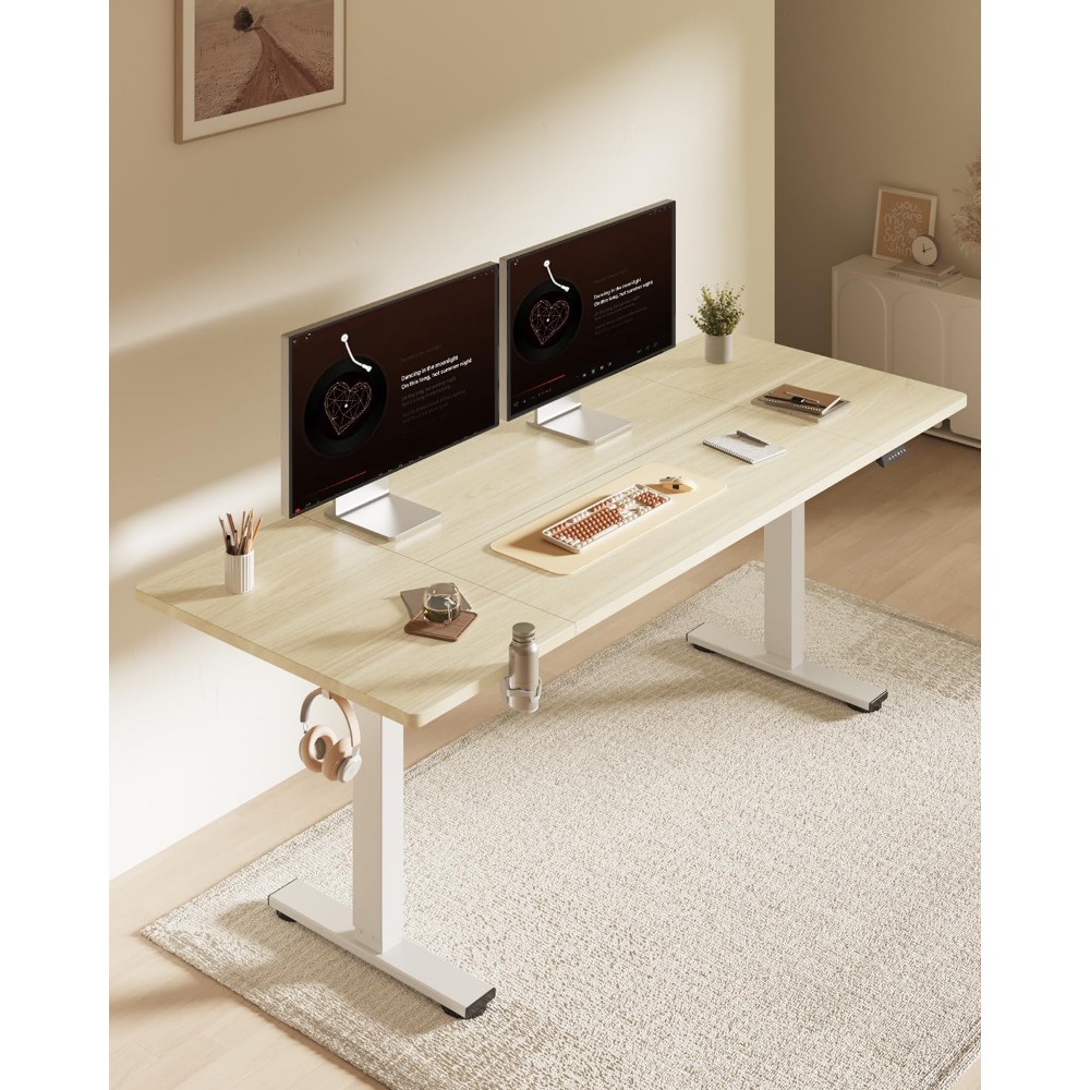 FLEXISPOT Bureau debout électr - Desk Setup Workspace avis et prix